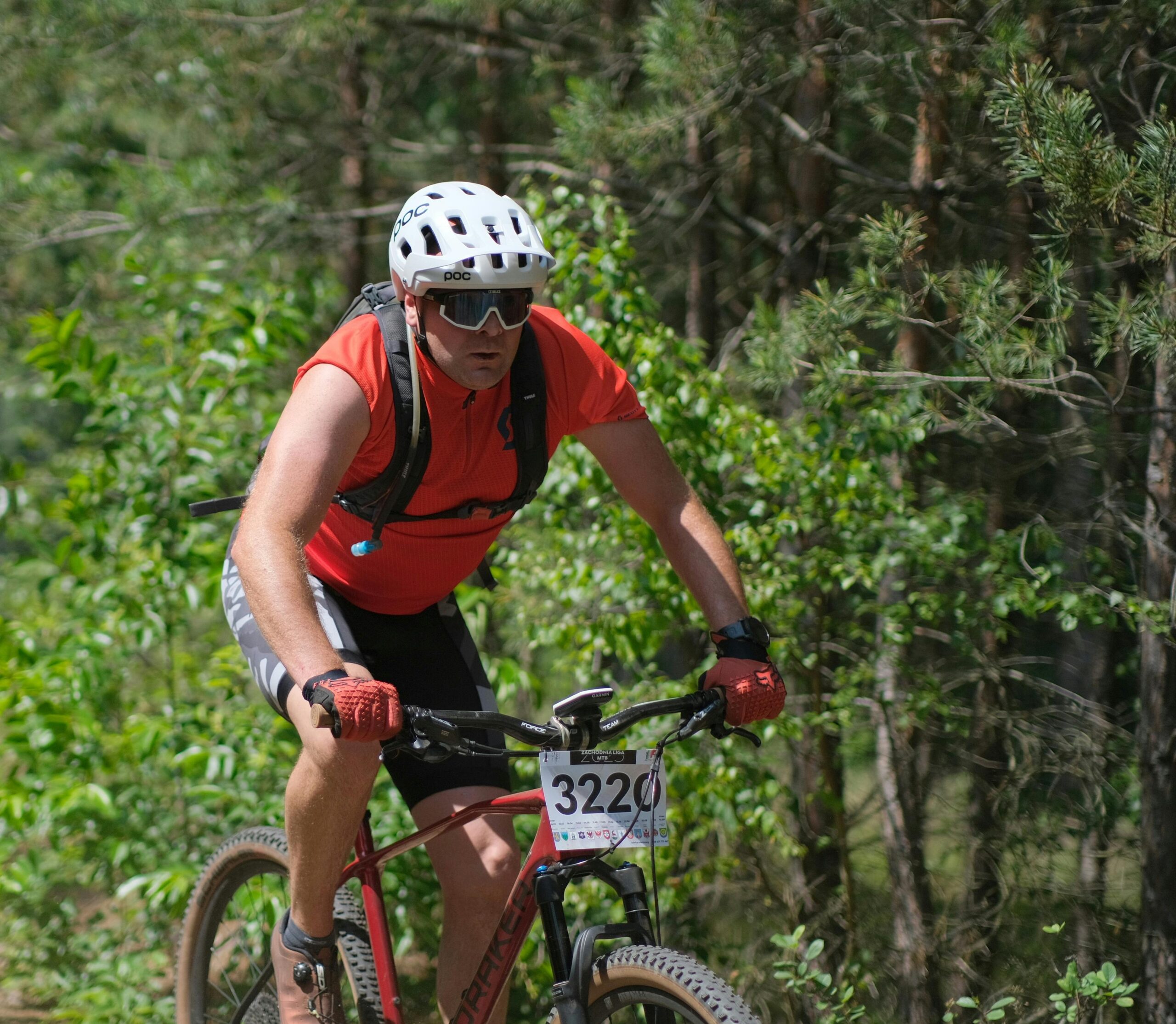 A competitive cyclist rides through a dense forest trail during a race.